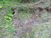 DSC09771