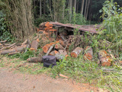 PXL_20260828_025944673
