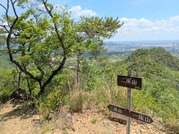 PXL_20260511_033141521