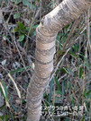 PXL_20260301_012450843