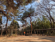 PXL_20260323_061414738