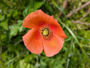 PXL_20260420_013537950