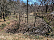 PXL_20260304_012741464
