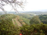 DSCN9592