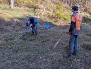 PXL_20251128_004547950