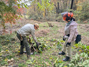 PXL_20251123_004804180