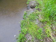 DSC09721