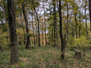 PXL_20251117_235043582