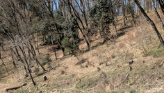 PXL_20260309_015124536