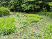 PXL_20260624_032047511