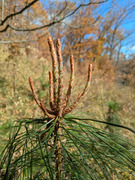 PXL_20251205_014627991