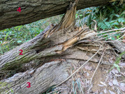 PXL_20260616_084413916