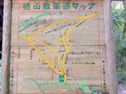 DSCN9689