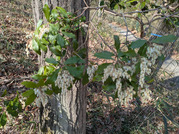 PXL_20260321_014033179