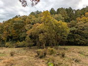 PXL_20251117_235625251