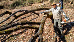 スクリーンショット (17679).png