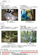 ナラ枯れの被害からまもるために（埼玉県）_3