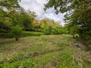 PXL_20260504_083905910