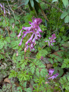 PXL_20260410_050155396