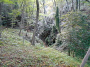 DSCN2109