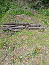 PXL_20260606_012507545
