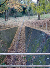 PC090016