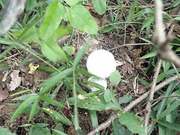 P9060015