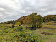 PXL_20251118_001128369