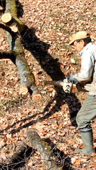 スクリーンショット (17682).png