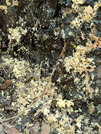 PXL_20260805_023755960