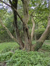 PXL_20260710_073313734