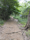 PXL_20260704_073002825