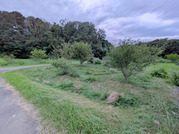PXL_20260729_095823613