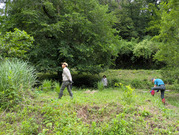 PXL_20260605_020144984
