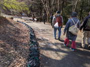 PXL_20260118_025225545