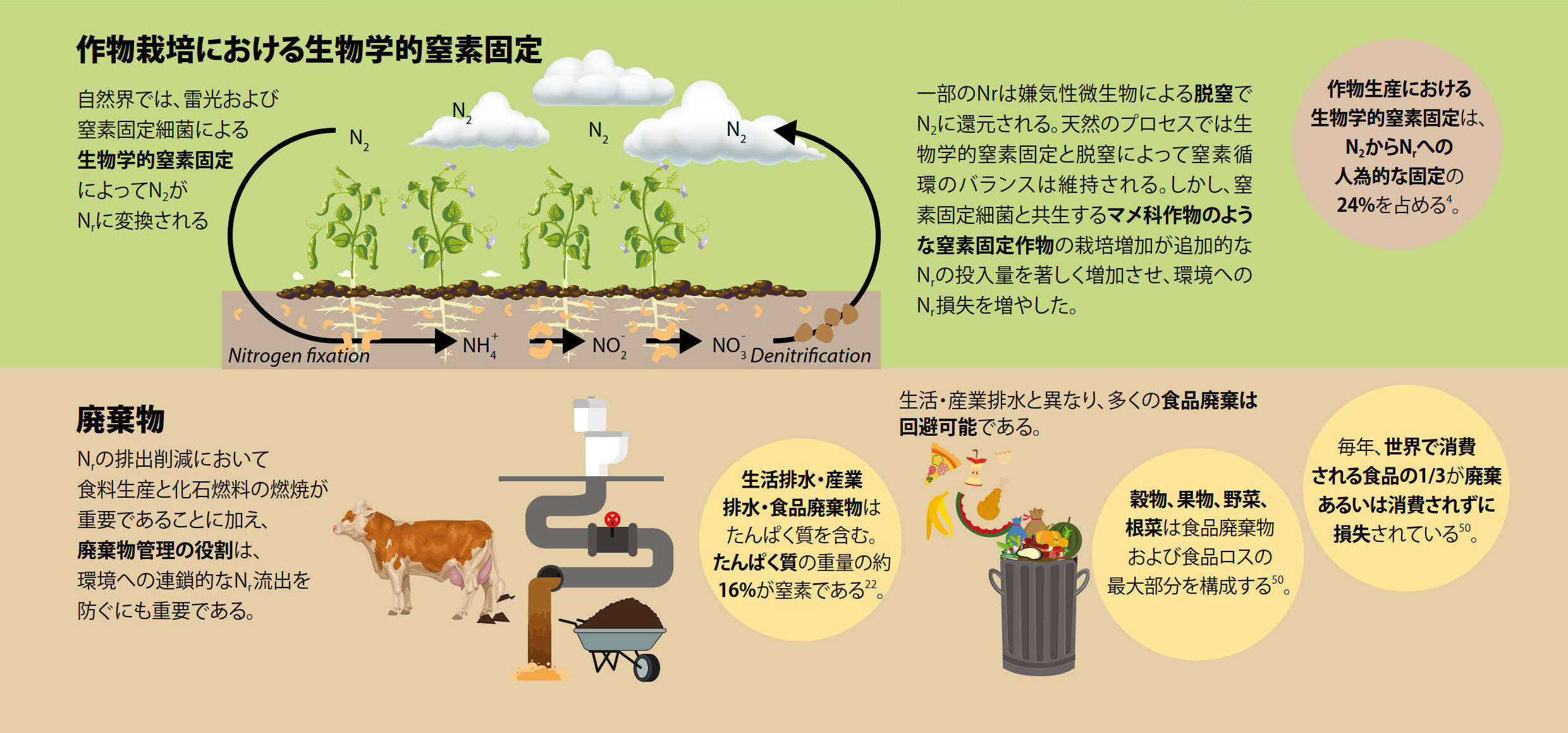 窒素問題の解決：窒素循環汚染から窒素の循環型経済へ 11月3
