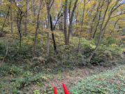 PXL_20251118_000009600