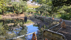 PXL_20251023_031410949