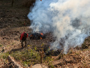 PXL_20251219_014427687