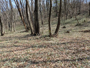 PXL_20260301_030826035