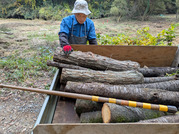 PXL_20251113_023047245