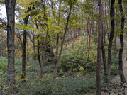 PXL_20251117_234811038