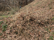 PXL_20260320_025032877