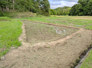 PXL_20260528_084243530