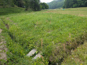 PXL_20260508_010135558