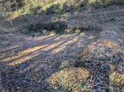 PXL_20260109_002231411