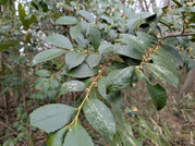 PXL_20260325_034351320