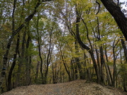 PXL_20251117_233444306