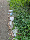 PXL_20260710_075251060
