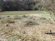 P3250001